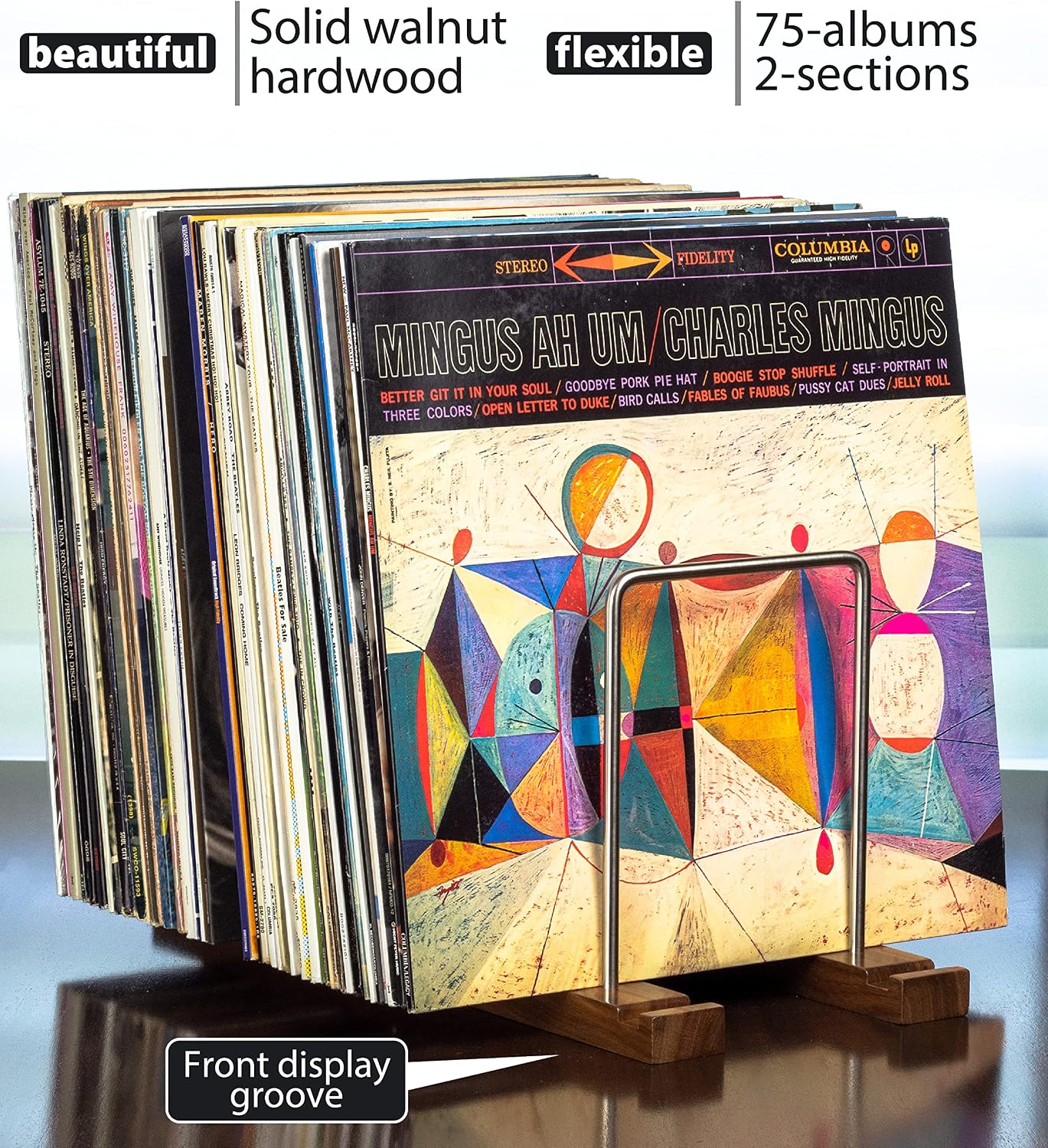 Optage Audio Durable Vinyl Record Storage Holder for 75 LPs